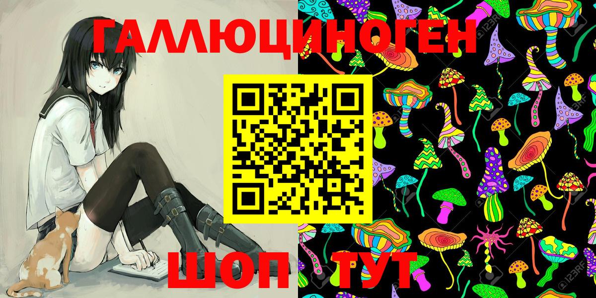 Псилоцибиновые грибы мицелий Кизляр