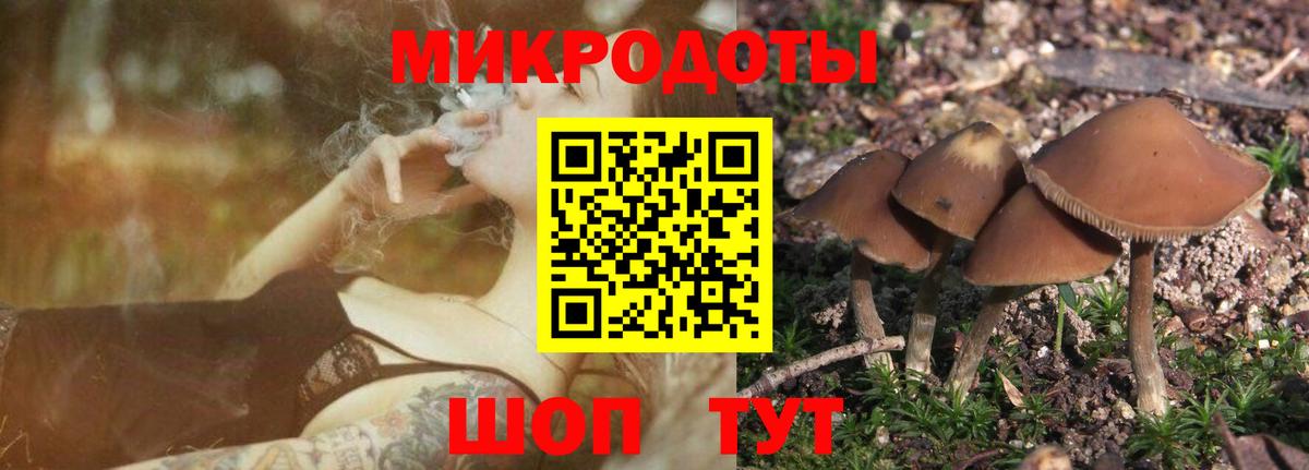 как найти   Галлюциногенные грибы Cubensis  Вход с VPN  Псилоцибиновые грибы MAGIC MUSHROOMS  Кизляр 